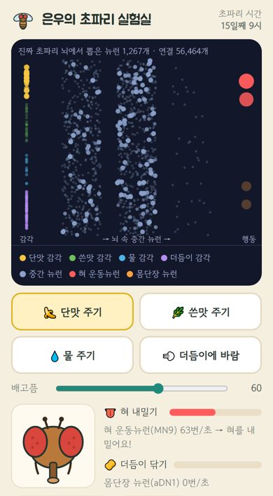 뇌 실험 화면: 감각뉴런에서 중간 뉴런을 거쳐 혀 운동뉴런까지 점들이 반짝인다